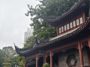 IMG_20250212_102559