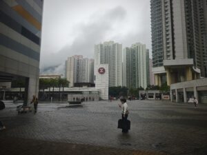 IMG_20250212_145301