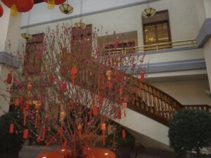 IMG_20250213_101025