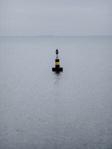 IMG_20250213_114136