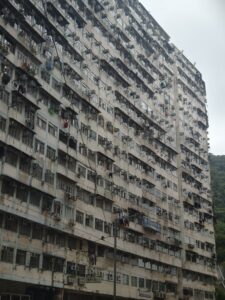 IMG_20250213_141355
