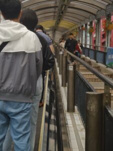 IMG_20250213_160256