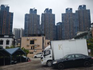 IMG_20250214_114050