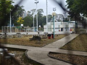 IMG_20250214_114412