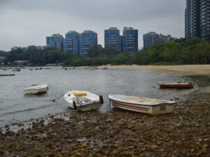 IMG_20250214_114921