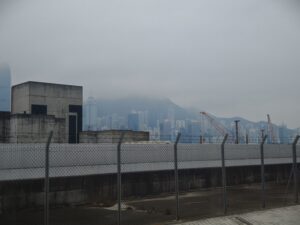 IMG_20250215_105002
