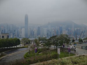 IMG_20250215_105634
